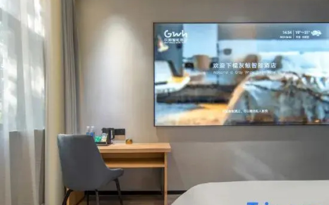 Grey Whale Smart Hotel (Boye Bus Station)