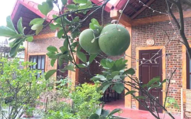 Vinh Thinh Homestay