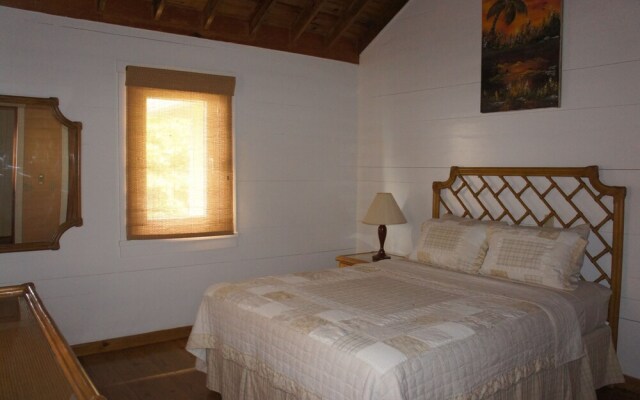 Lemon Tree House