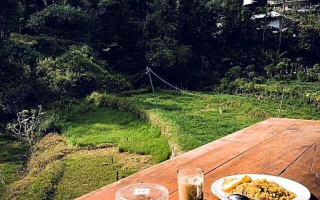 Wisma Papa Tia Toraja