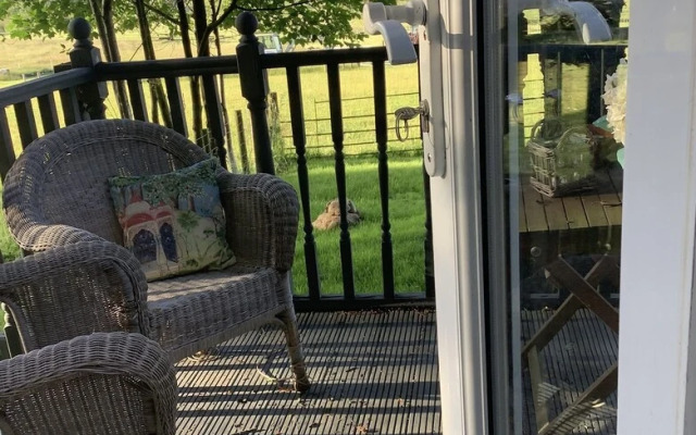 Dobbin the Horse box in The Lake District