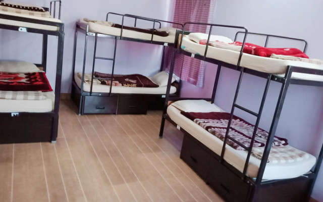 Monkey Bunky-3Monkeys Backpacker's Hostel