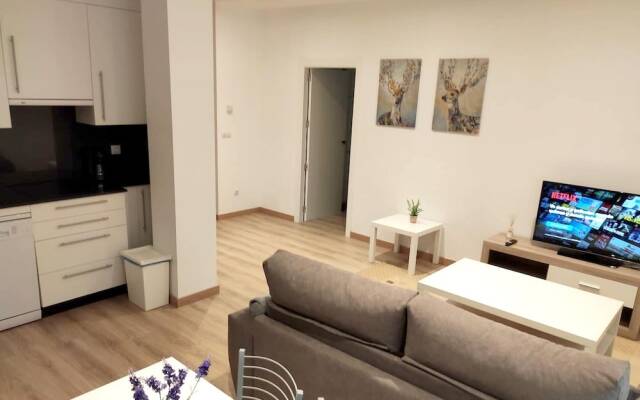 Apartment With 2 Bedrooms in Ourense, With Wifi