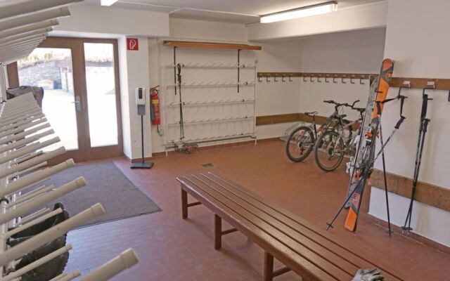 Birkenwald 25546