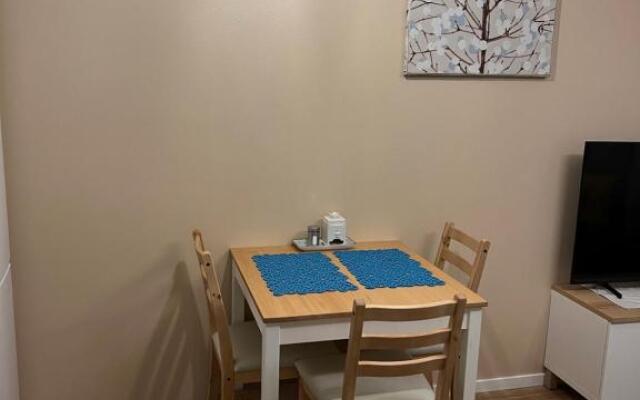 Cozy centre apartament Kuopio