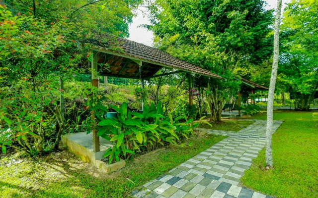 OYO Premium Hill Stays Kolagappara