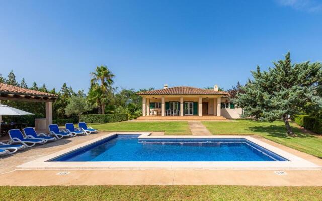 La Vinya del Beato 1950