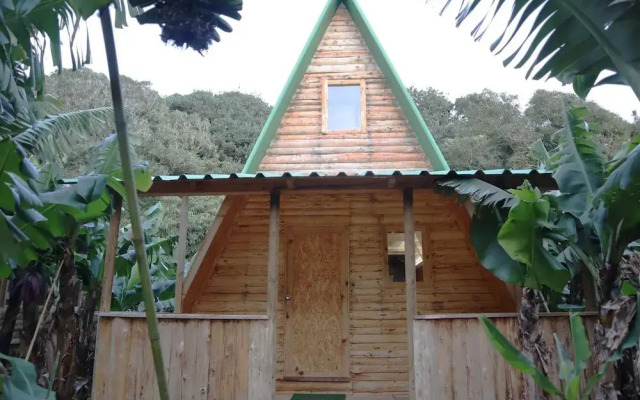 Banana Eco Camp