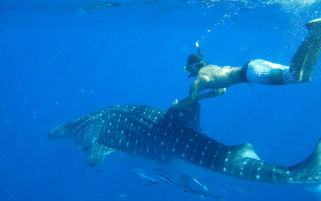 Ocean Jewels Resort