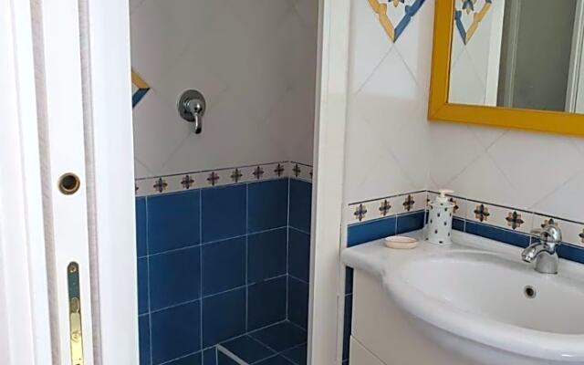 Agata Suite
