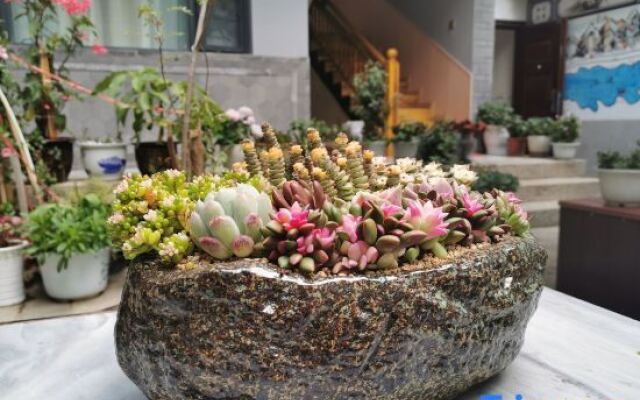 Slow Life· yuesheng garden Jing di mei su