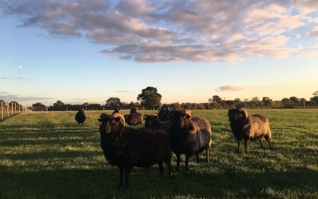 Springwood Shepherd Huts