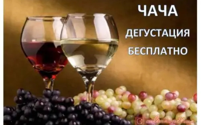 База отдыха на реке Шаке — фото