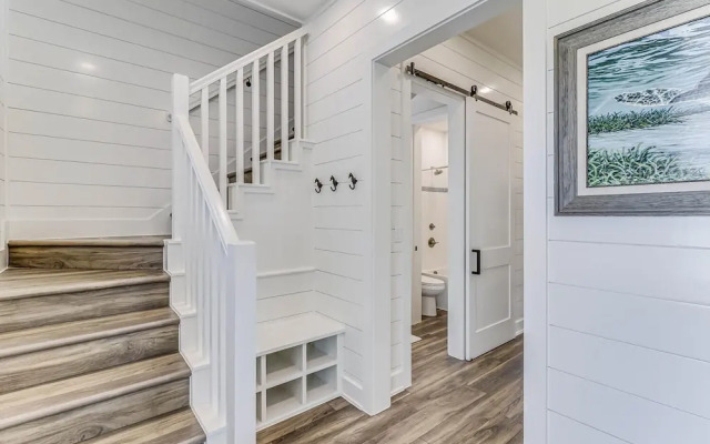 Turtle's Nest 113 SEV