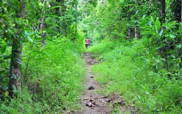 Schitzo Hills Forest Resort