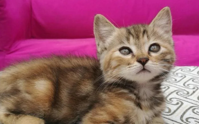 Luoyang Anximen Young Hostel