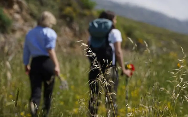 Stella Village Junior Studio Sea View II