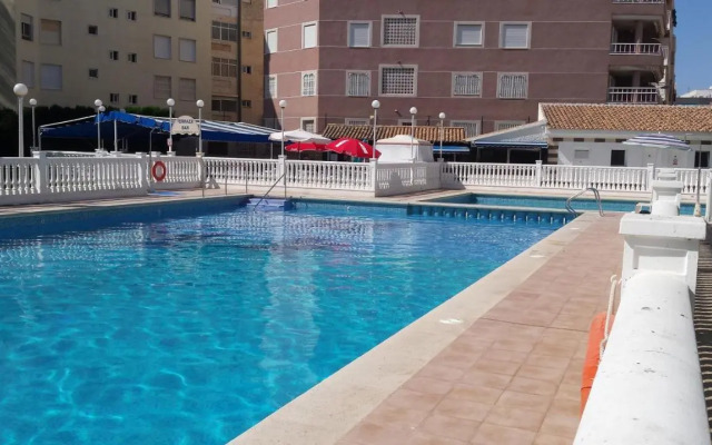 Palmeral de Torrevieja