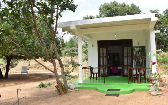 Sigiri Elephant View Guest