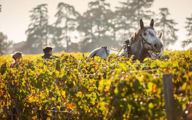 Chateau Croix De Labrie