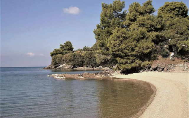 Alterra Vita Homes By the Sea