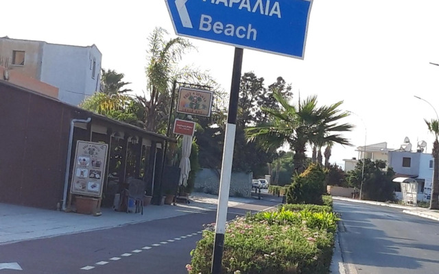 Palm garden paradise