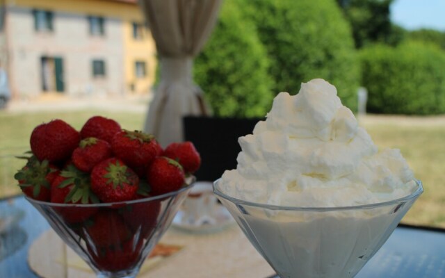 Bed & Breakfast Amarcord