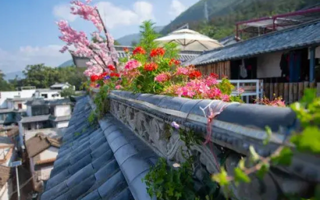 Dali rainforest time inn