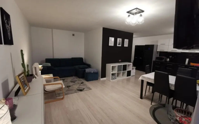 Apartament w centrum Rawy Mazowieckiej
