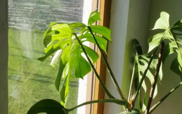 Sanqiu Country House in Dali