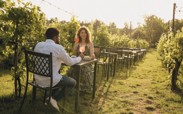 Hotel Ristorante La Dama nella Vigna