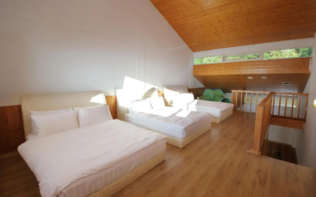 Cingjing Brilliant Twins of Seattle