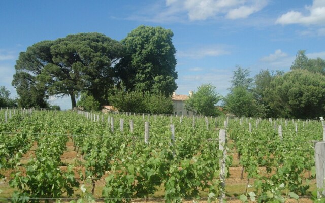 Domaine Mongiron