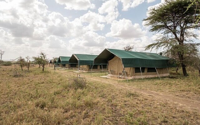 Serengeti Wild Camp