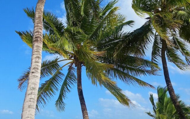 Santa Maria Coral Park