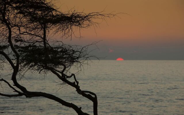 S Kihei #135 - 1 Br Condo