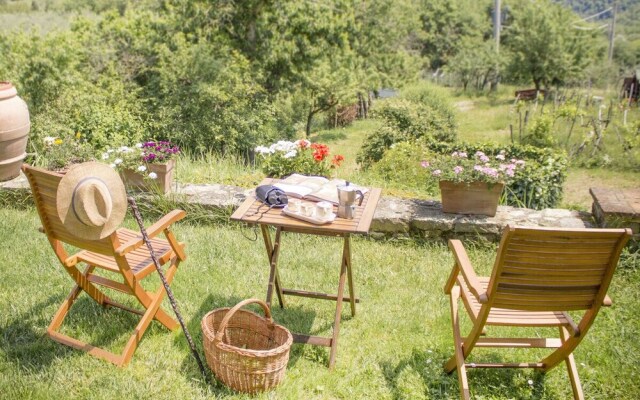 Villa Porcigliano Olive Grove