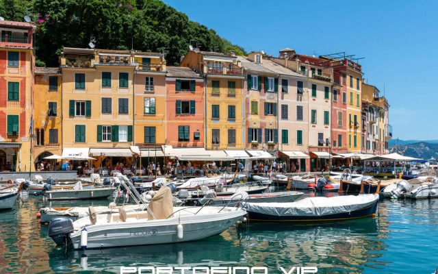 Your Window on Portofino