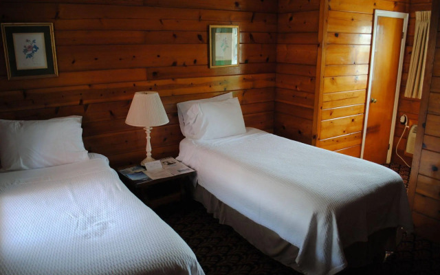 Daunt's Albatross Motel