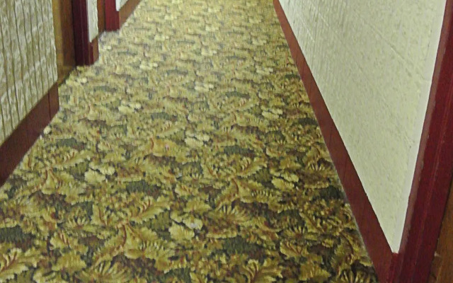 Vegreville Garden Inn