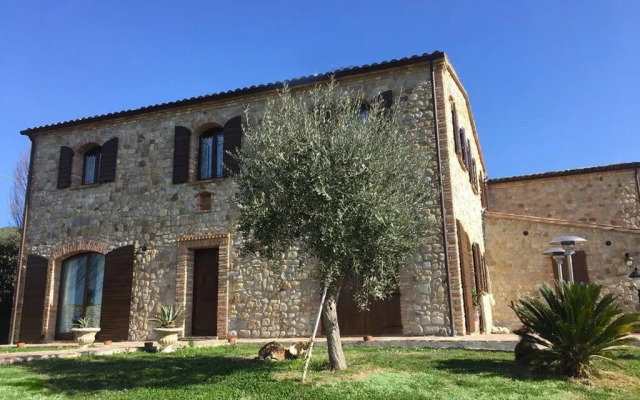 Il sogno tra gli ulivi