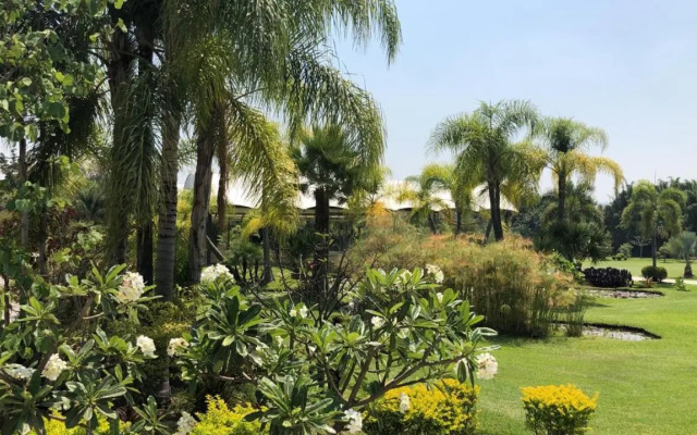 Huayacán Cuernavaca Curamoria Collection
