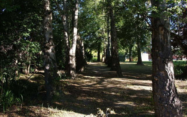 The Birches Bed & Breakfast