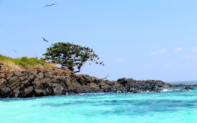 Pedasi Ocean Properties