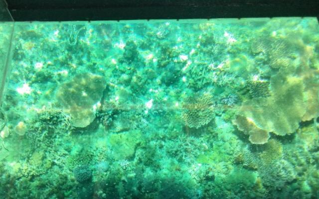 Anajawan Island Beachfront Resort