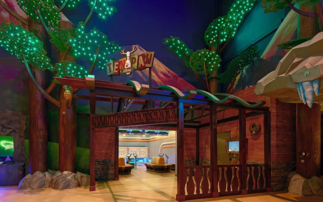 Great Wolf Lodge Webster