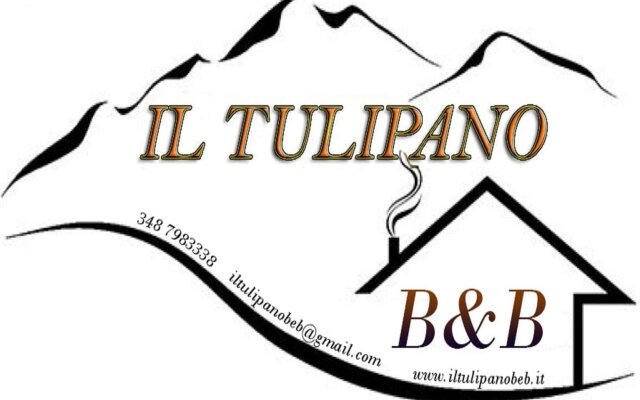 B&B Il Tulipano