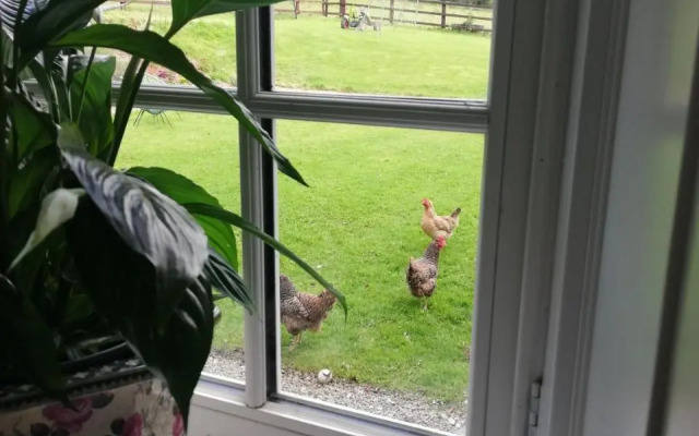 Next door at Broomfield House