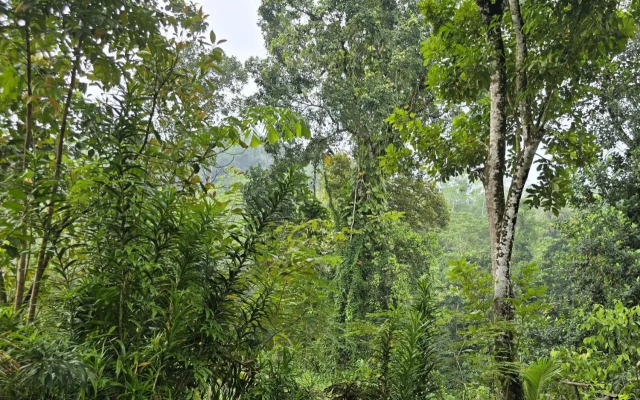 Nildiya Falls Hotel