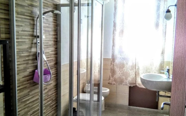 B&B Libellula
